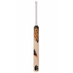 DSC Intense Rage English Willow Bat